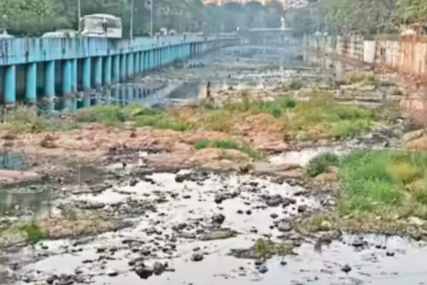 मुंबई महानगरपालिका की जंग: दहिसर–बोरीवली में मैंग्रोव कटाई और प्रदूषित नदी बने चुनावी मुद्दे