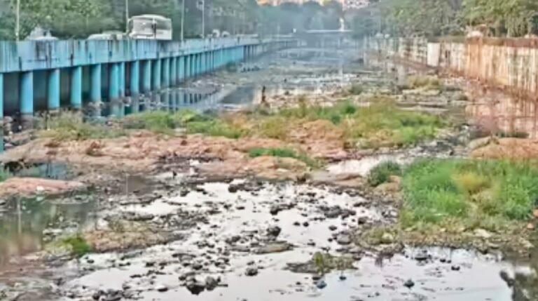 मुंबई महानगरपालिका की जंग: दहिसर–बोरीवली में मैंग्रोव कटाई और प्रदूषित नदी बने चुनावी मुद्दे