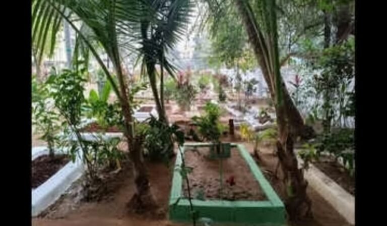 Mumbai observes Shab-e-Baraat with prayers, graveyard visits and halwa offerings