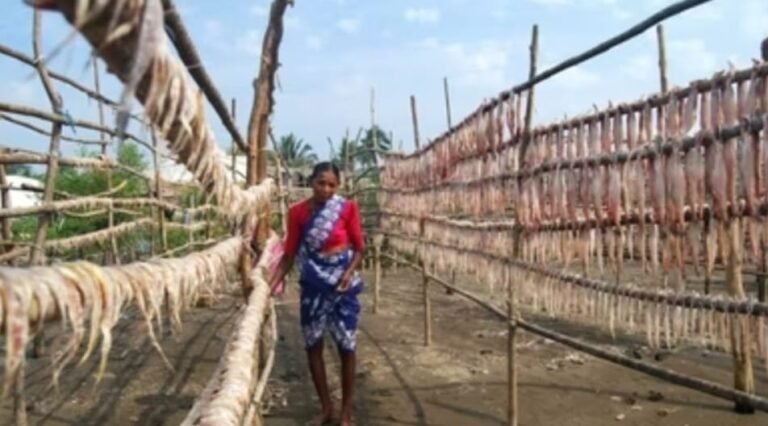 Maharashtra’s ‘Aai’ Tourism Policy Empowers Women Entrepreneurs; ₹72 Crore Loans Sanctioned to Over 900 Beneficiaries