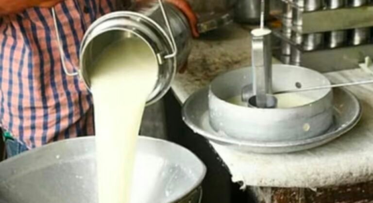 मुंबई में कल से महंगा होगा भैंस का दूध, ₹110-112 प्रति लीटर तक पहुंचेंगे दाम