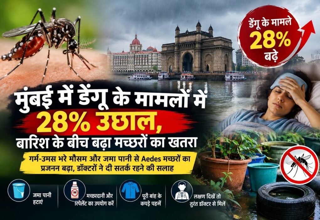 मुंबई में डेंगू के मामलों में 28% बढ़ोतरी, बारिश के बीच बढ़ा खतरा; डॉक्टरों ने दी सतर्क रहने की सलाह